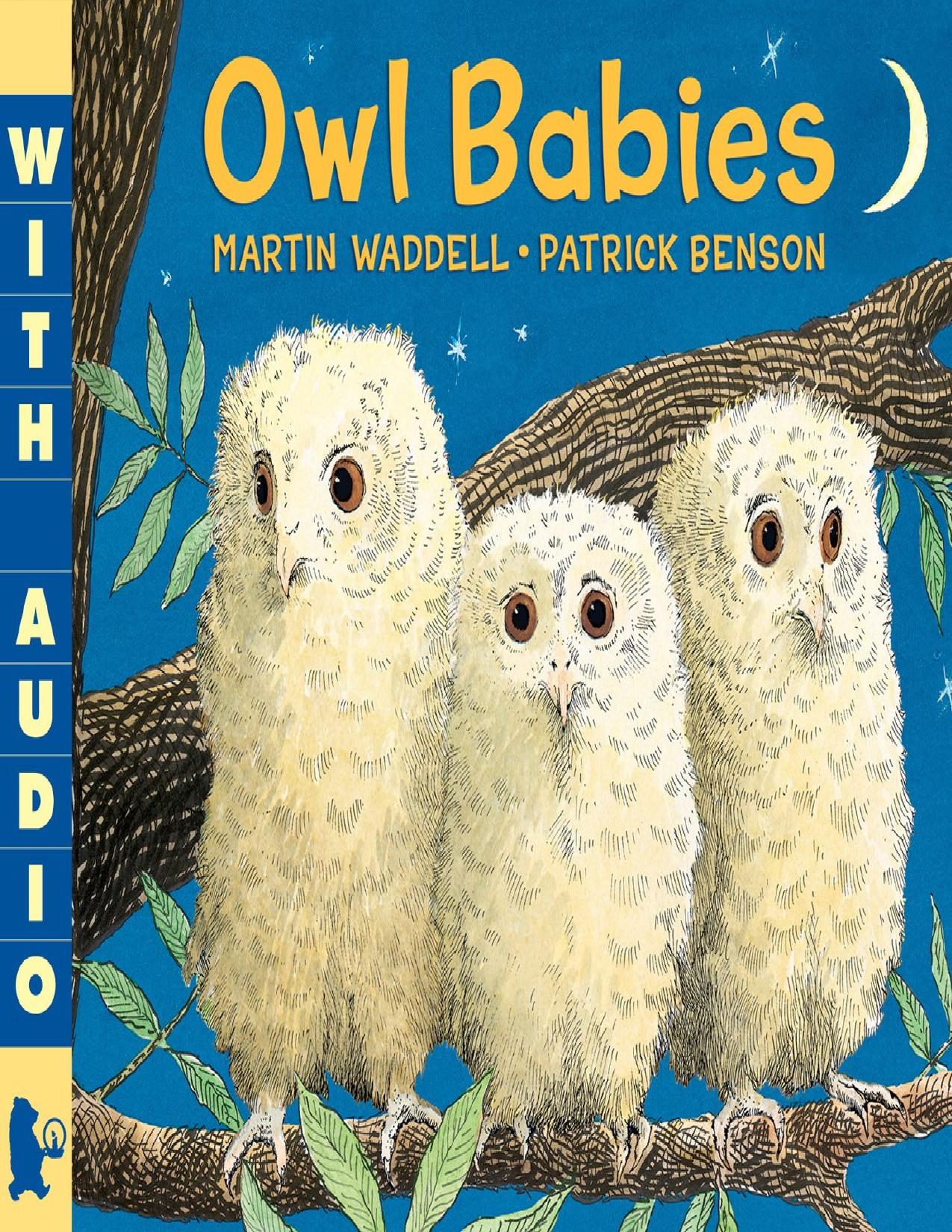 Owl Babies